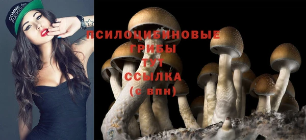 сатива Алексин