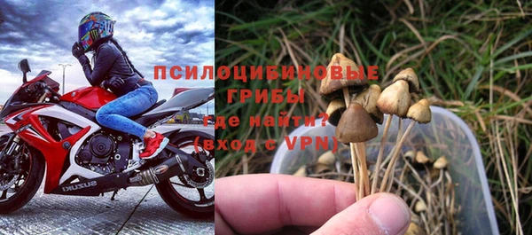 сатива Алексин
