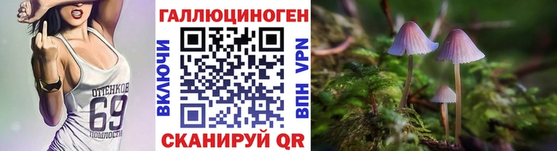 площадка официальный сайт  ссылка на мегу tor  Кызыл  Псилоцибиновые грибы MAGIC MUSHROOMS 
